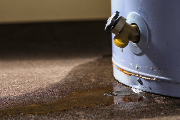 Best Commercial water damage restoration  in Manassas Park, VA