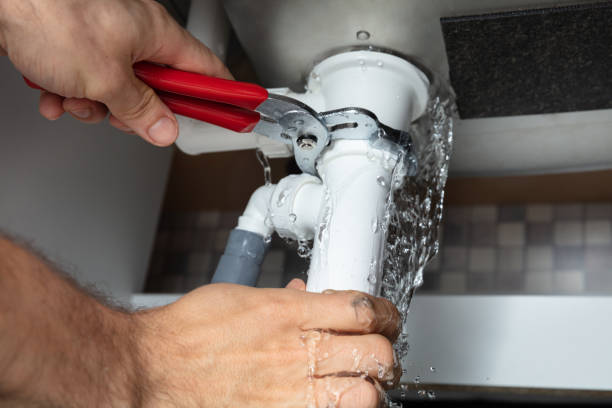 Best Ceiling water damage repair  in Manassas Park, VA