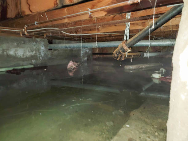  Manassas Park, VA Water damage restoration Pros