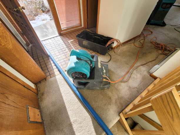 Best Fire Damage Restoration  in Manassas Park, VA
