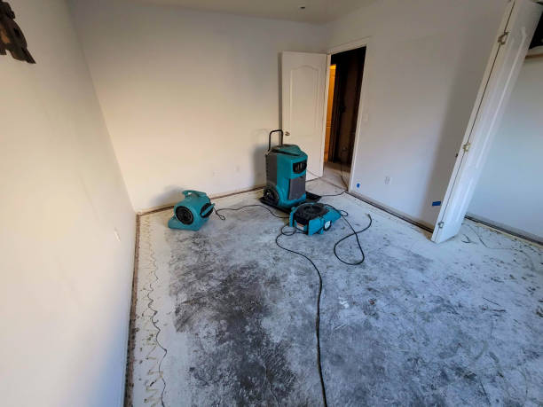 Best 24/7 water damage repair  in Manassas Park, VA