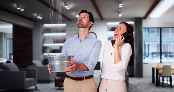 Best Basement water damage restoration  in Manassas Park, VA